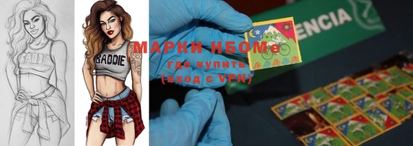 дмт Алексин