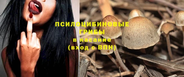 кокс Алзамай